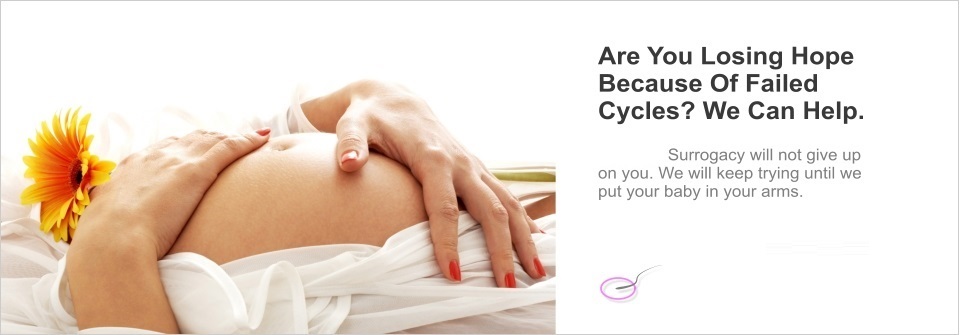 Surrogacy Cycles